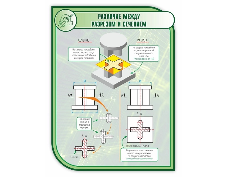 Обучающий стенд «Разрез vs Сечение» 1000×750 мм