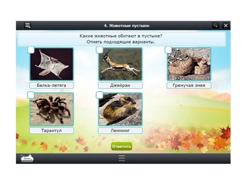 ЭОР «Окружающий мир», 127 модулей для 1 класса