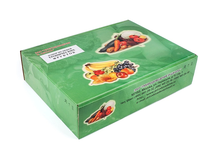 Муляжи экзотических фруктов — набор из 9 фигур