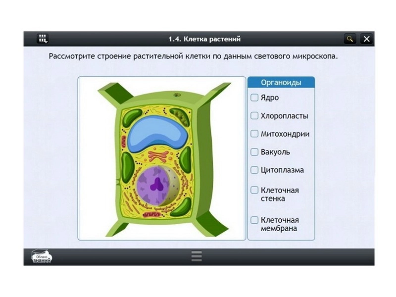 Электронный курс «Биология» 11 класс — Облако знаний