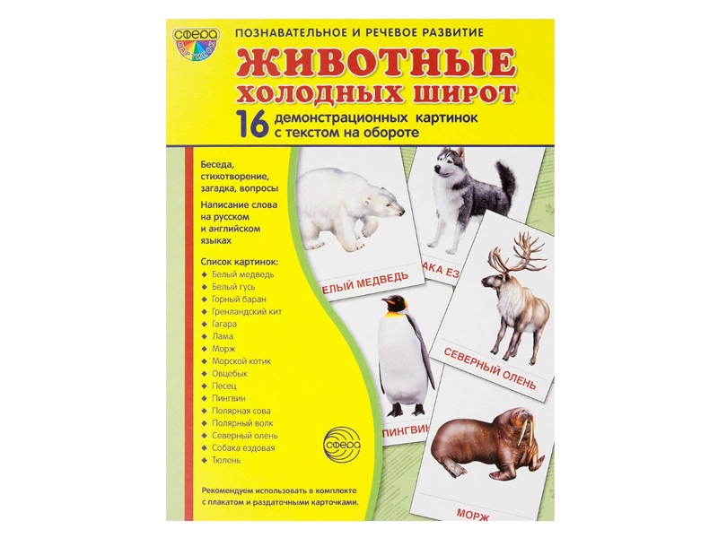 Картинки демонстрационные: животные холодных широт, 17,3×22 см