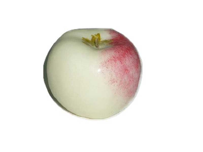 Учебный муляж «Ранет» — яблоко для занятий