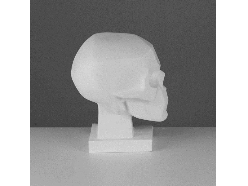 Гипсовая модель головы — череп (обрубовка) 165×200×230 мм