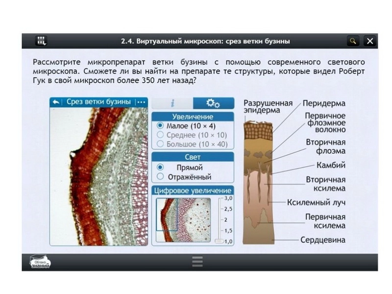 Электронный курс «Биология» 11 класс — Облако знаний