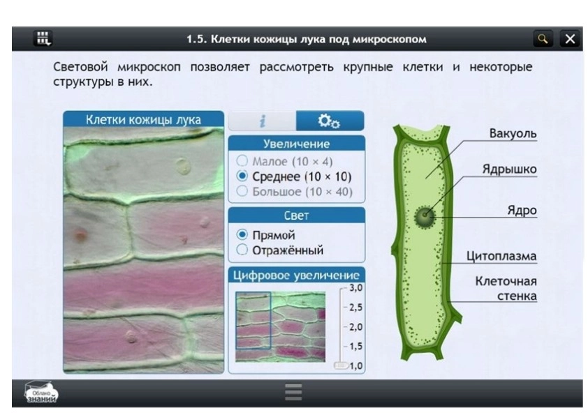 Электронный курс «Биология» 11 класс — Облако знаний