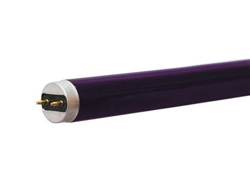 Black Light 40W — у/ф лампа для развивающих комнат