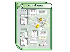 Местный разрез — стенд 1×0,75 м