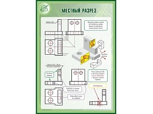 Местный разрез — стенд 100×70 см