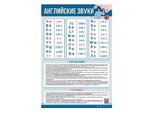 Настенный стенд: английский алфавит с транскрипцией 690×1000 мм