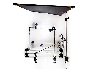 MUK-P-ST — профессиональная мультстудия