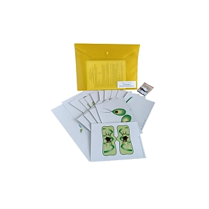 Обучающая модель Размножение многоклеточной водоросли (магнитная)