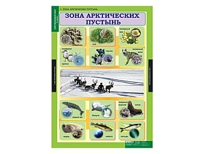 Набор таблиц «Окружающий мир» — 14 листов для 4 класса