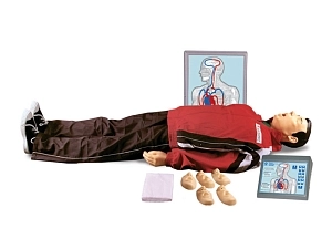 Манекен Максим III-01 для обучения СЛР
