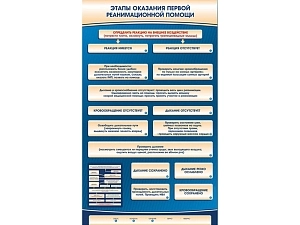 Электрифицированный стенд «Этапы первой помощи» 900×1500 мм