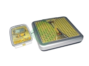 Медицинские электронные весы ВМЭН-150 с выносным табло