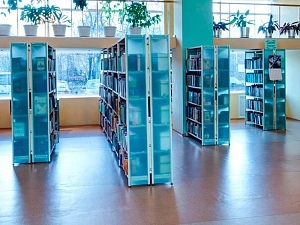 Боковая накладка (оргстекло), высота 2076 мм