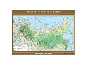 Карта лесной промышленности России, учебная — 100×140 см