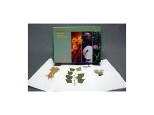 Географический гербарий — набор из 40 образцов