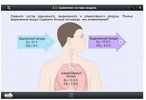 ЭОР «Биология» для 6 класса — 163 модуля