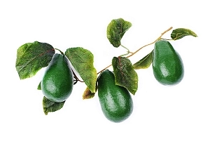 Ветка с муляжами авокадо, пластмасса