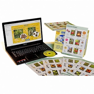 Натурально-интерактивная коллекция Семена и плоды