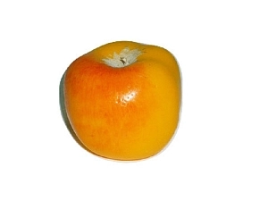 Учебный муляж яблока «Славянка»