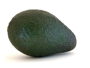 Учебный муляж Авокадо
