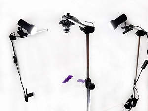 Мультстудия Эконом (комплект для перекладной анимации)