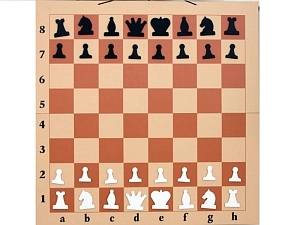 Переносная магнитная шахматная доска 80 см