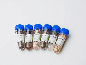 ЭДГ-8045: комплект щелочных и щелочноземельных металлов