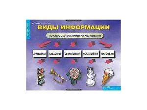 Альбом таблиц по информатике «Введение» 68×98 см