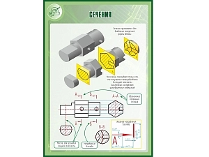 Школьный стенд «Сечения» 100×70 см