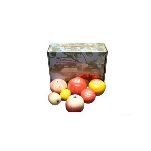 Коллекция муляжей яблок — дикая форма и популярные сорта