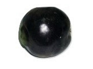 Муляж «Редька» — реалистичная модель