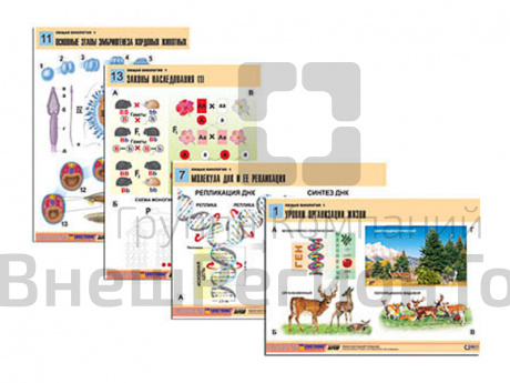 Таблицы по биологии Общая биология-1, 16 шт..