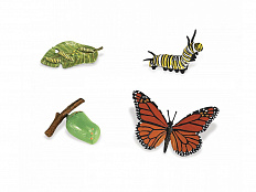Фигурки Жизненный цикл бабочки монарх 4 шт.