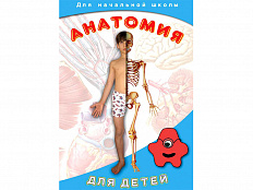 DVD-диск Анатомия для детей