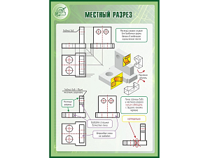 Местный разрез — стенд 100×70 см