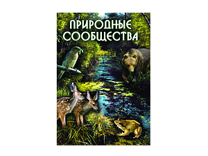 Учебный DVD "Природные сообщества"