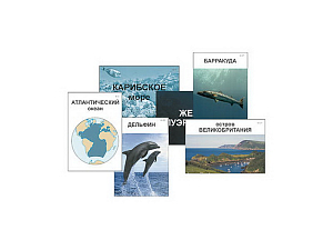 Океаны. Знакомство — карточки с магнитами