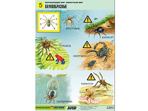 Таблицы обучающие «Животный мир» — 8 учебных плакатов A1