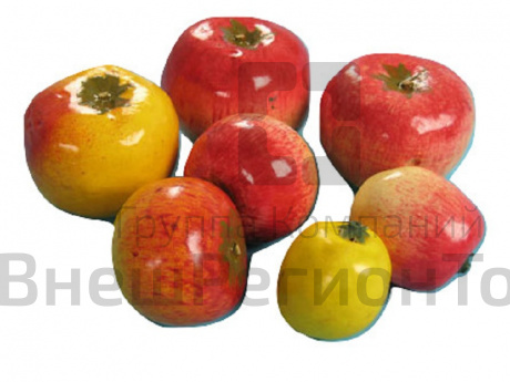 Набор муляжей Дикая форма и культурные сорта яблони.
