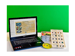 Набор натуральных полированных поделочных камней