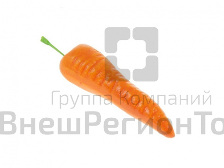 Муляж Морковь.