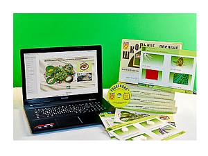 Натурально-интерактивная коллекция «Шелк» для школы