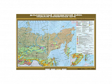 Учебная карта "Дальневосточный экономический район. Социально-экономическая карта", 100х140