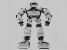 Гуманоидный робот Yanshee