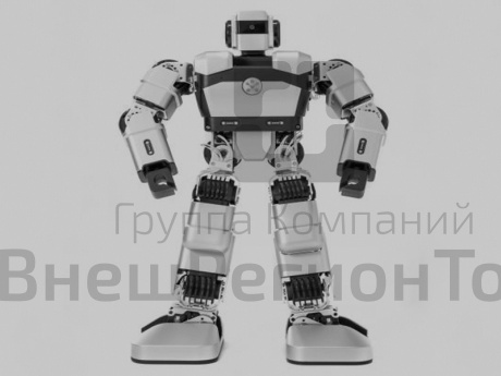 Гуманоидный робот Yanshee.