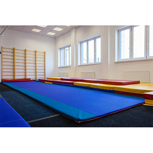 Гимнастическая дорожка Оксфорд 800×200 см