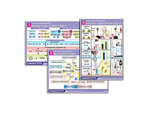 Реакции органических веществ, формат A1